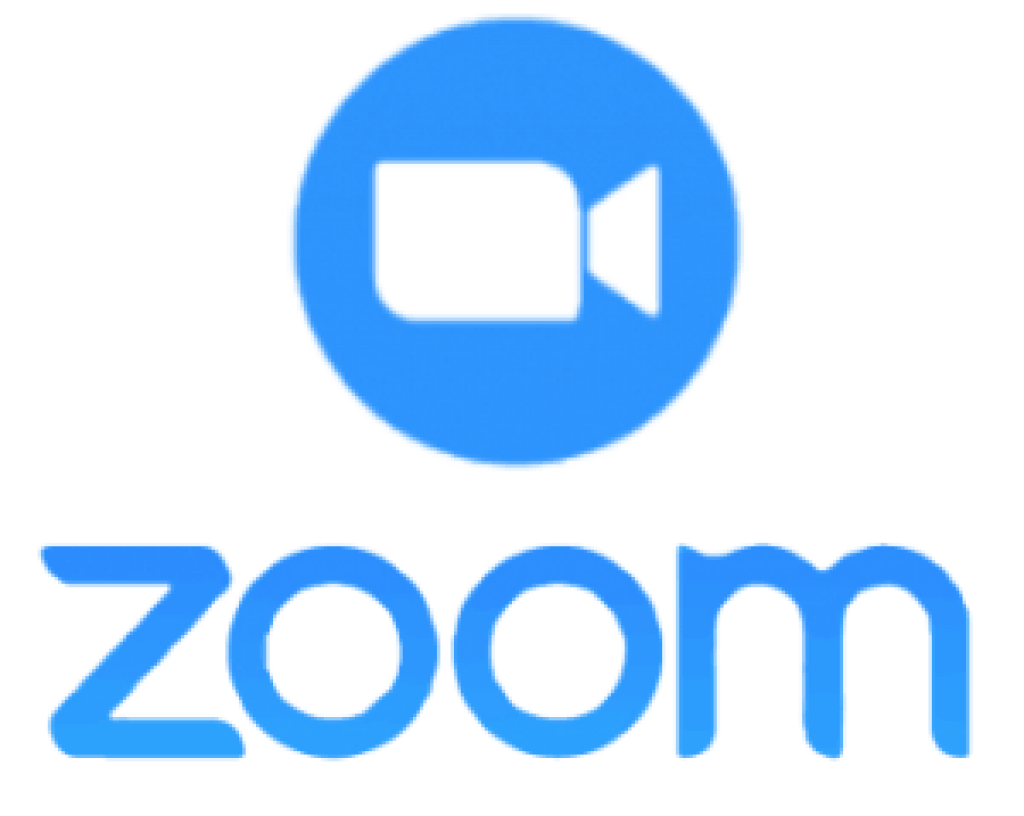 zoom webinar options